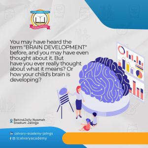 Read more about the article BRAIN DEVELOPMENT 1